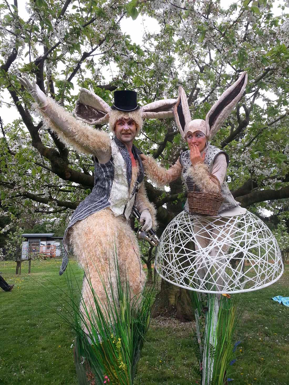 Rabbits, die Hasen