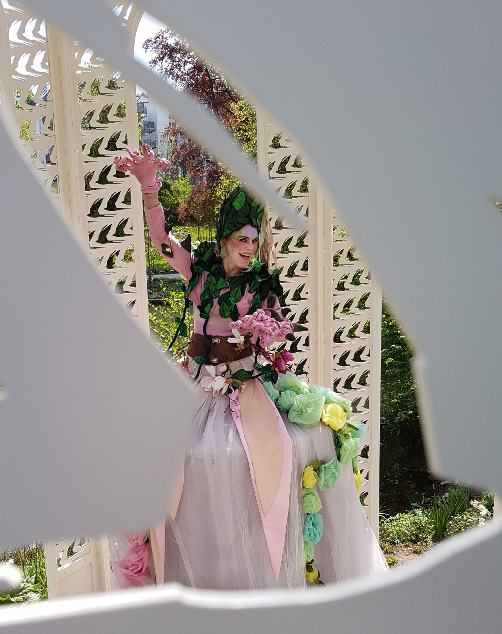 rose_8