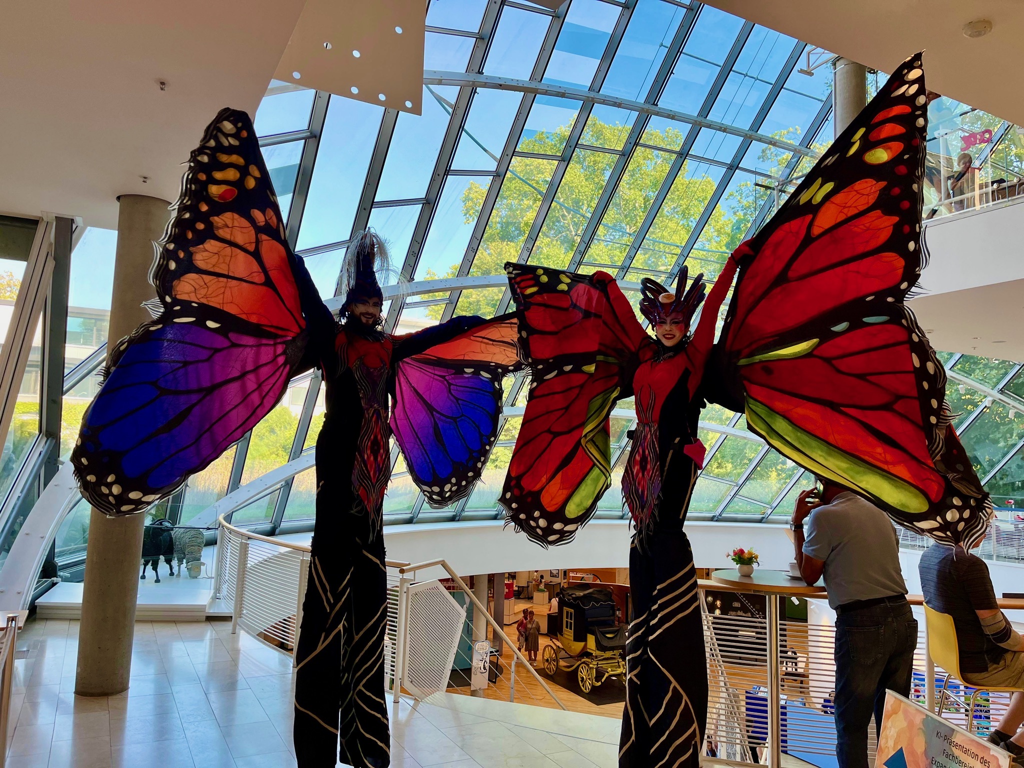 schmetterling_3
